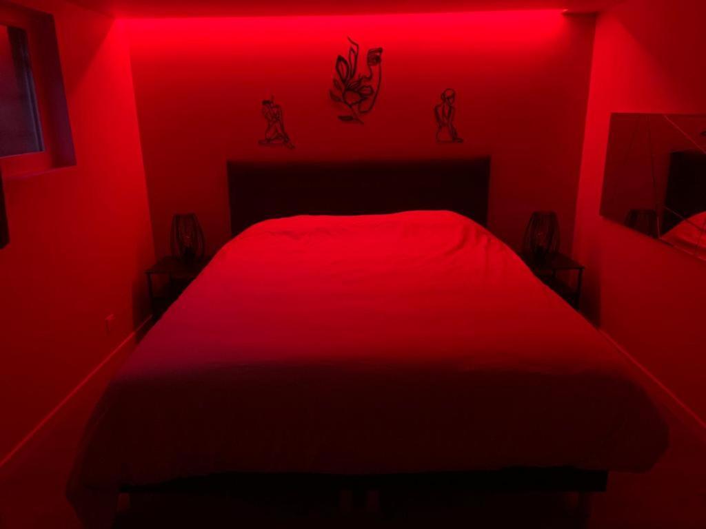 *romance Jacuzzi* Pour Les Amoureux Ou Les Solos Apartment